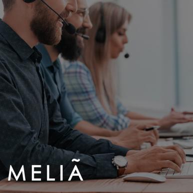 melia-ccai