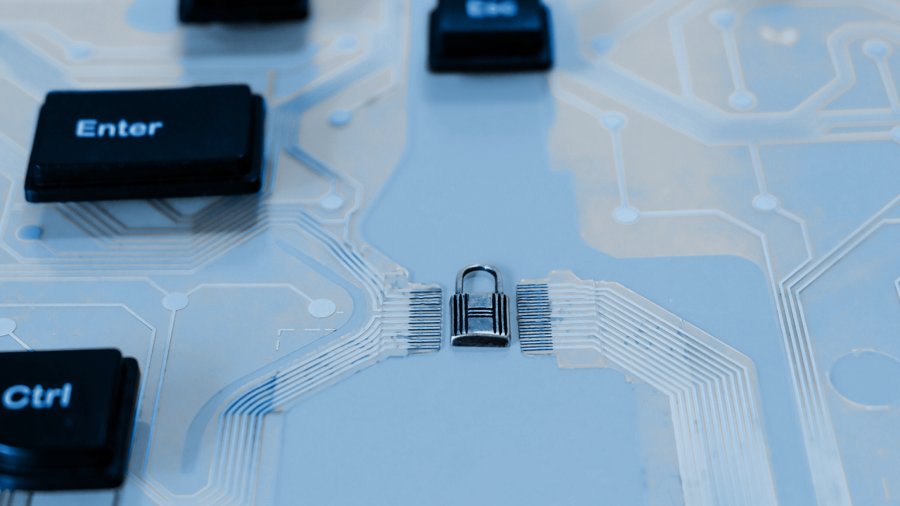 seguridad del dato en ML y privacidad